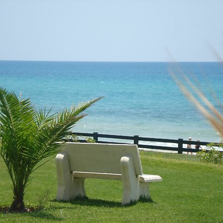 B&B Cote D'Azur ハンマメット エクステリア 写真