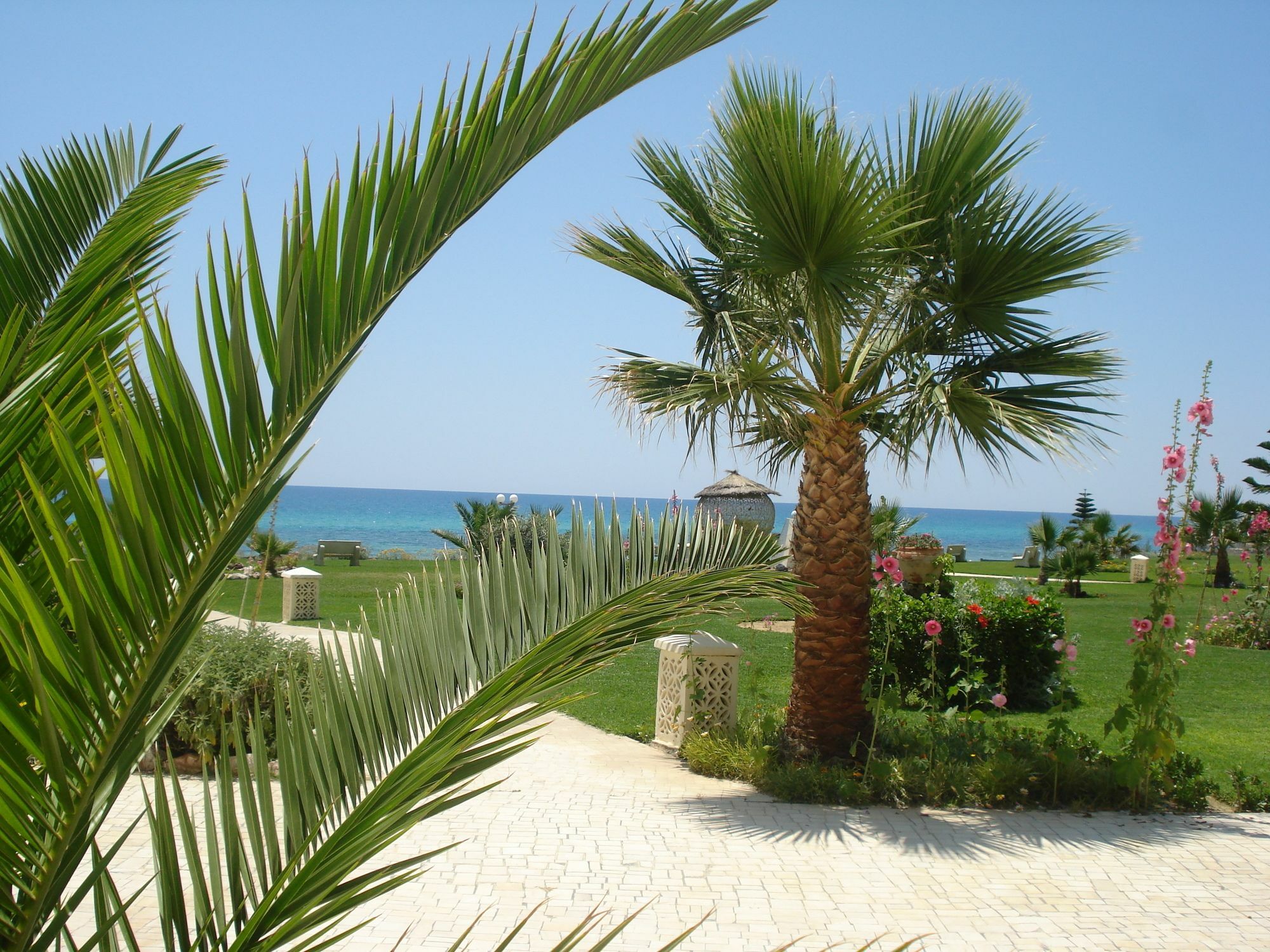 B&B Cote D'Azur ハンマメット エクステリア 写真