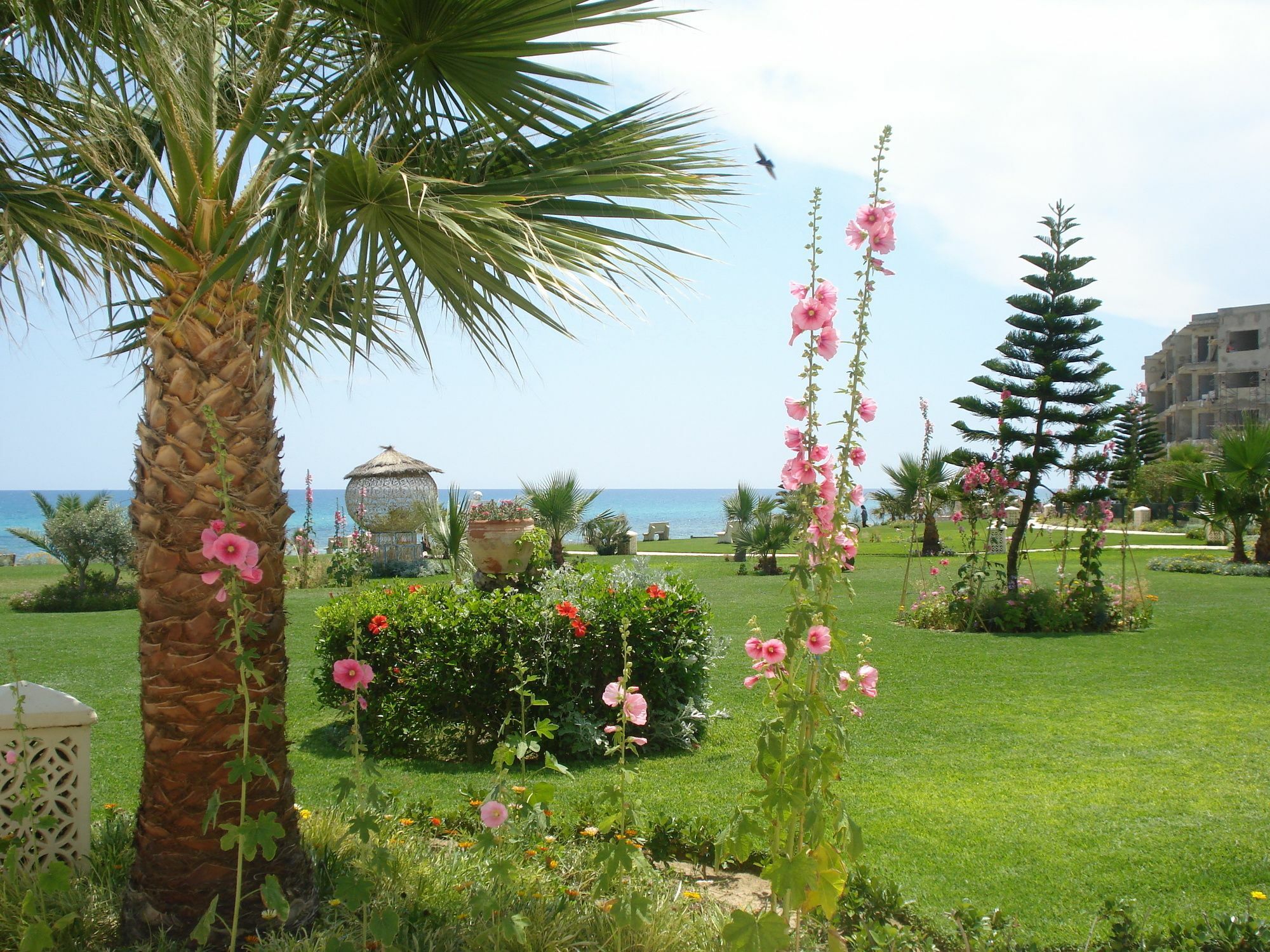 B&B Cote D'Azur ハンマメット エクステリア 写真